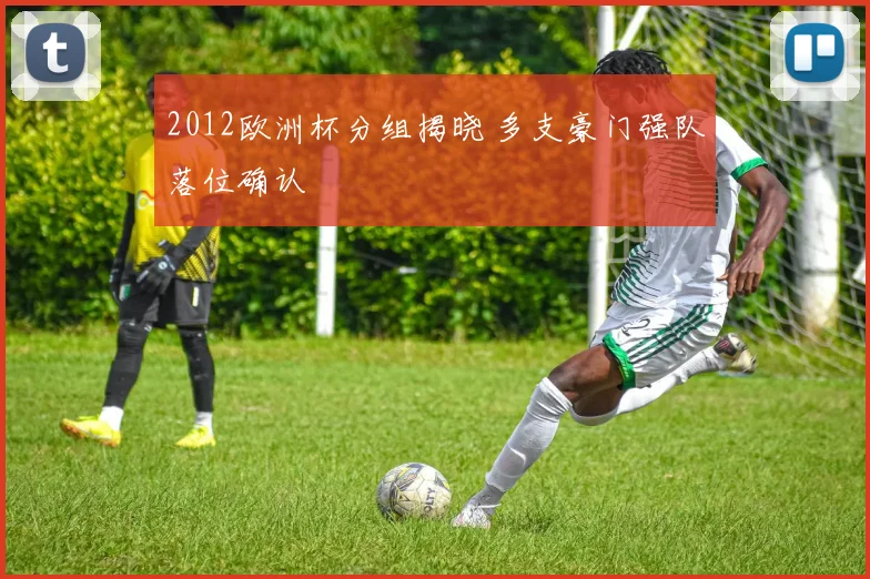 2012欧洲杯分组揭晓 多支豪门强队落位确认