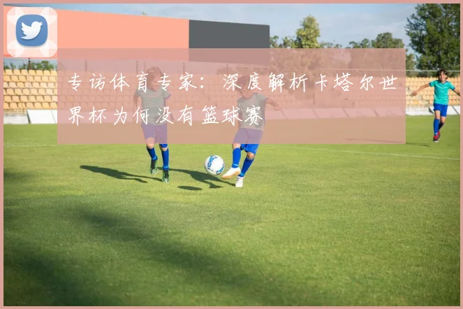 专访体育专家：深度解析卡塔尔世界杯为何没有篮球赛