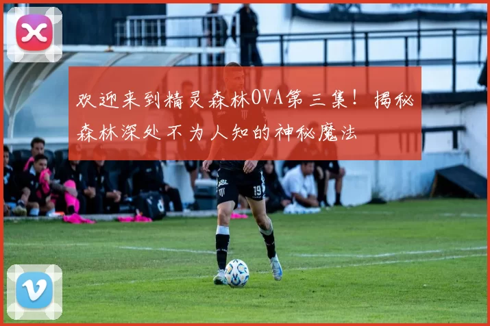 欢迎来到精灵森林OVA第三集！揭秘森林深处不为人知的神秘魔法