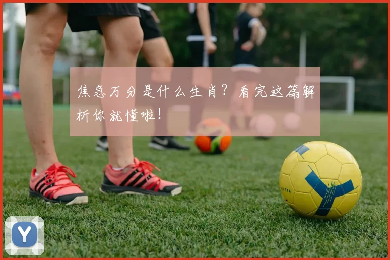 焦急万分是什么生肖？看完这篇解析你就懂啦！