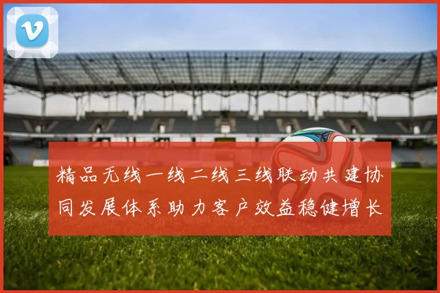 精品无线一线二线三线联动共建协同发展体系助力客户效益稳健增长