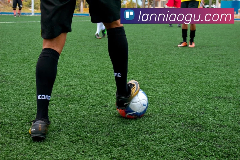 leyu体育网页登录品牌故事